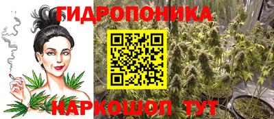 apvp Гудермес