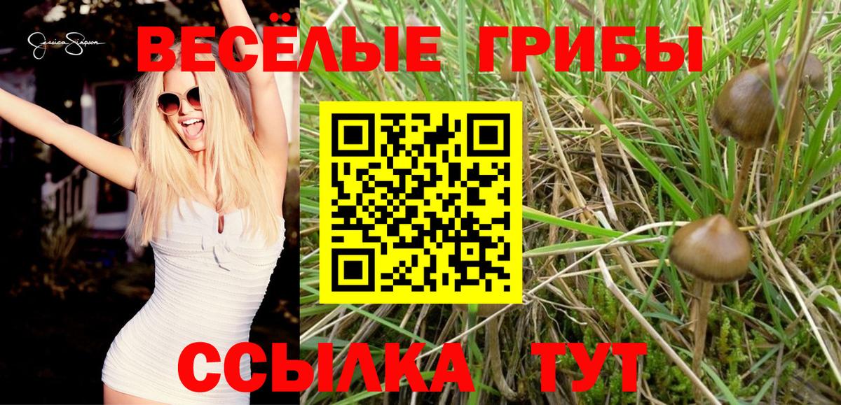Псилоцибиновые грибы мицелий Ачхой-Мартан