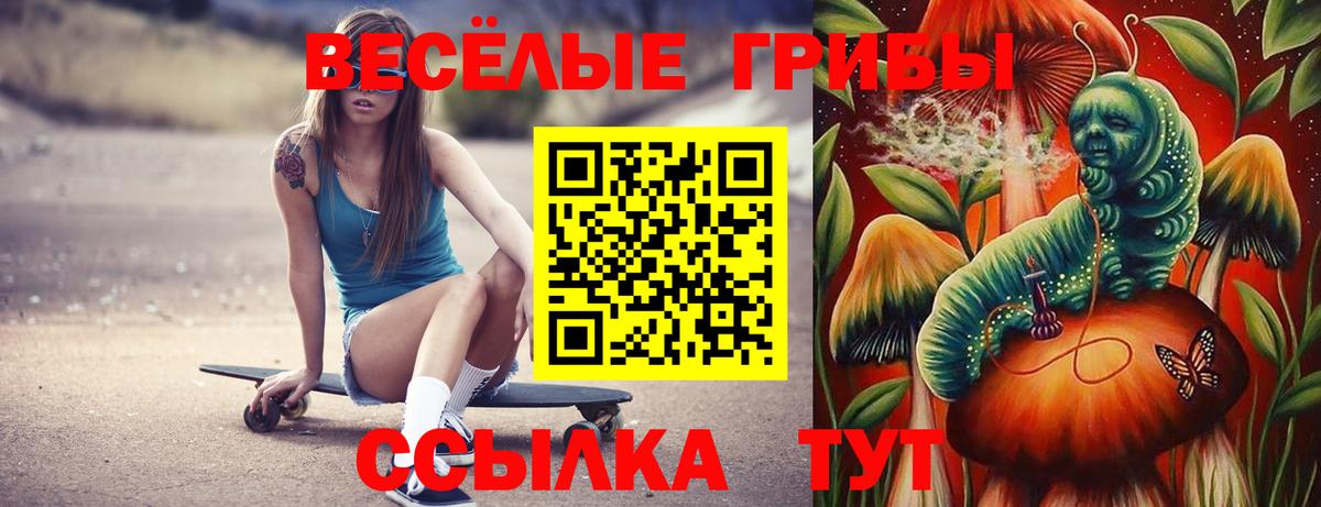 Псилоцибиновые грибы GOLDEN TEACHER  Вход с VPN  Ачхой-Мартан 